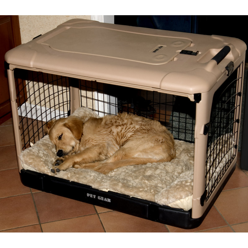 Plastic Collapsible Pet Crate with 4 Doors Small 21 H x 18 W x 26 D Chocolate